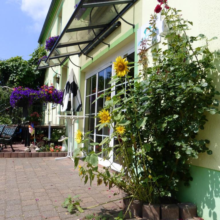 Land-Gut-Hotel Schenkenberger Hof Delitzsch Buitenkant foto