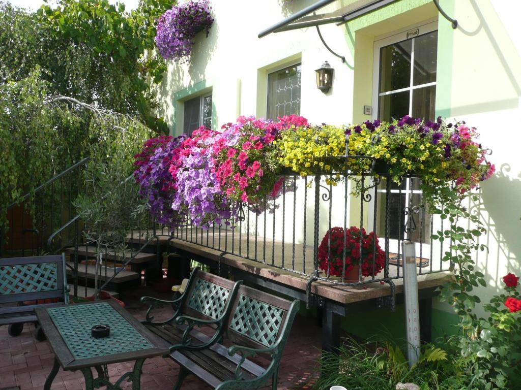 Land-Gut-Hotel Schenkenberger Hof Delitzsch Buitenkant foto